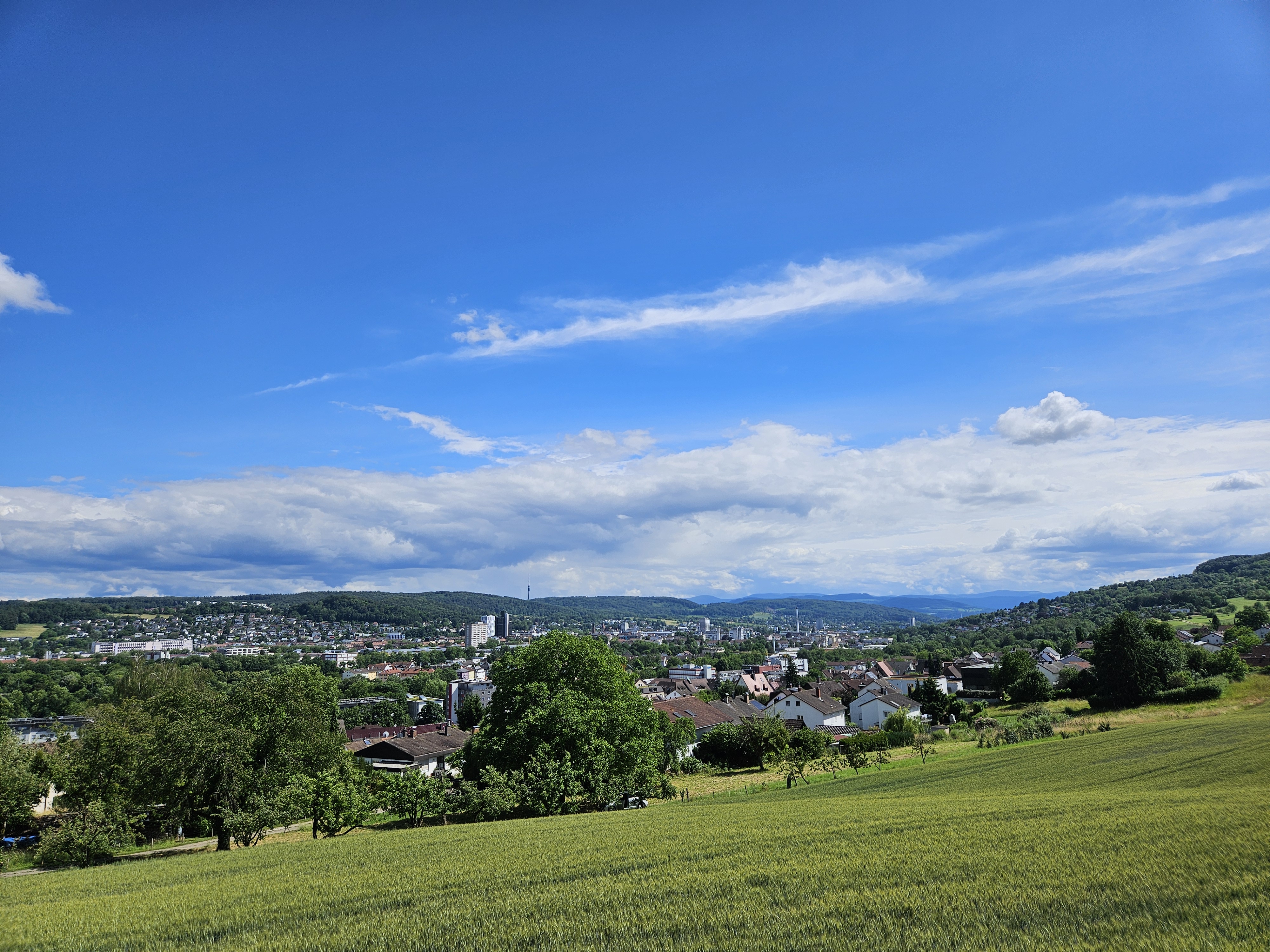 Loerrach
